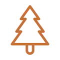 fir tree icon